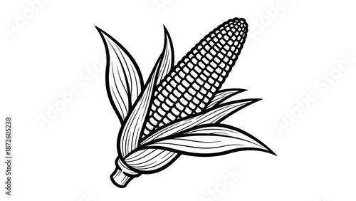 Corn on the Cob with Husk Black and White Vector Illustration