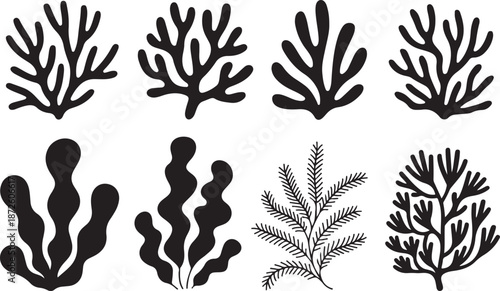 Collection of various coral and seaweed silhouettes in black, isolated on a transparent checkered background