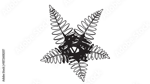 Intricate five-pointed star formed by intertwined fern fronds and shadowy negative space.