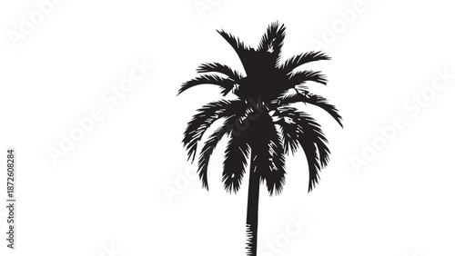 Minimal silhouette of a solitary palm tree against a bright backdrop, evoking tropical calm and outdoor nature.