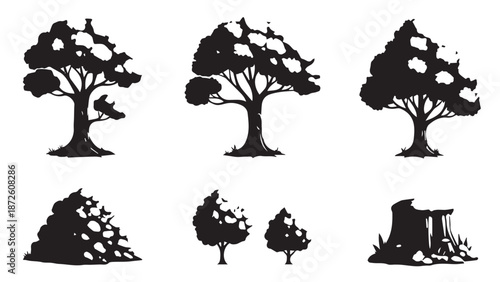 Series of tree silhouettes forming a tranquil woodland landscape with varied canopies and shadows.