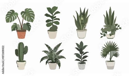 Hand drawn houseplants vector set with indoor potted plants in simple botanical sketch style