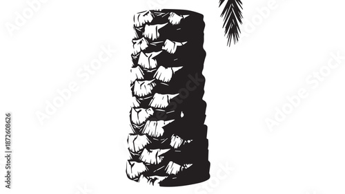 Close up of a tall pinecone with detailed scales against a white background.