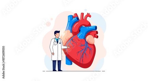 Cardiologist Doctor Explaining Human Heart Anatomy. Cardiac Health Diagnosis, Medicine, and Research Concept Vector Illustration.