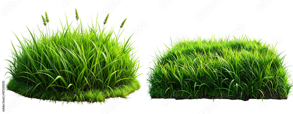 Naklejka premium Fresh green grass patch isolated on white background PNG