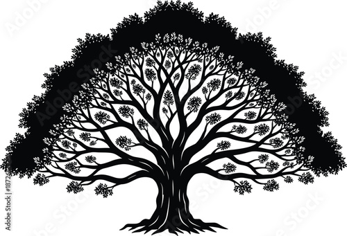 Black silhouette of a large spreading oak tree with intricate branches and leaves, old majestic tree isolated on white background,