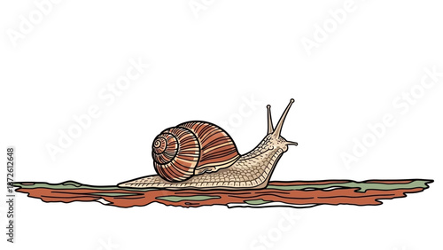 Snail on Leaf Slow Gastropod Mollusk Shell Nature.