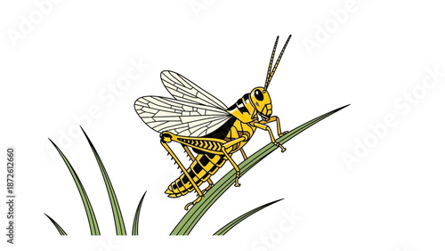 Yellowjacket Wasp on Grass Blade.