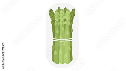 Fresh Green Asparagus Stalks Tied with String, Healthy Vegetable Illustration