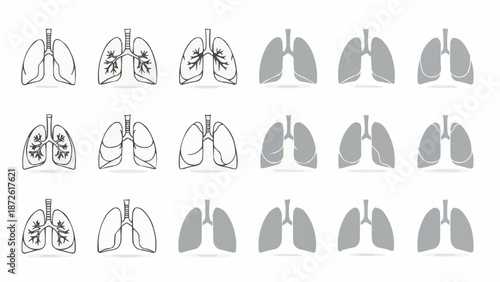 Anatomical Illustration of Human Lungs in Various Styles.