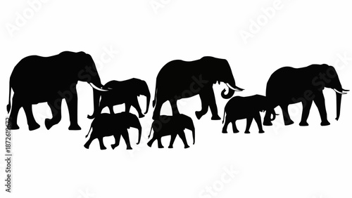 A herd of elephants walking together in silhouette.