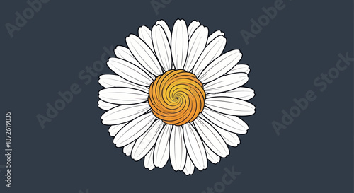 Cartoonish daisy with a swirling orange center on a dark gray backdrop