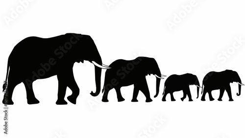 Silhouette of a family of elephants walking in a line.
