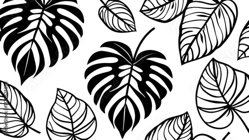 Black and white tropical leaves pattern featuring monstera and other leaf shapes on a white background on transparent background silhouette