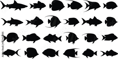 Black fish silhouettes collection vector illustration set, marine life icons, underwater animals shapes, seafood species variety, minimalist aquatic design, isolated cutout style