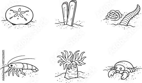 Micro Scale Marine Life Black and White Line Art Icon Set eps
