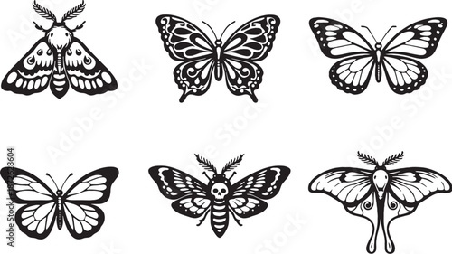 Moths and butterflies black and white line art icon set eps