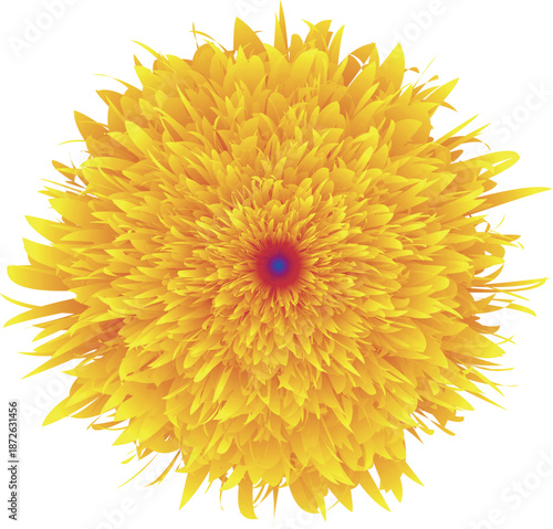 Vibrant abstract flower burst vector illustration isolated on transparent background