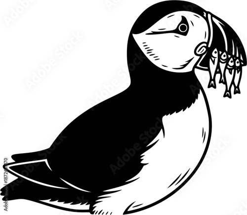 Puffin bird with fish in beak image on white. Vector hand drawn illustration black colored