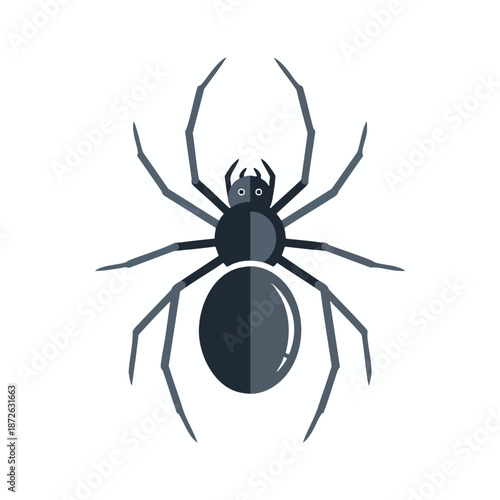 Black Spider Icon