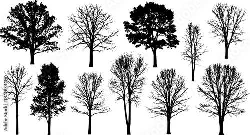 Set of trees in silhouettes. Also in vector format. Create many more shapes of trees from leaves and trees bottom row.