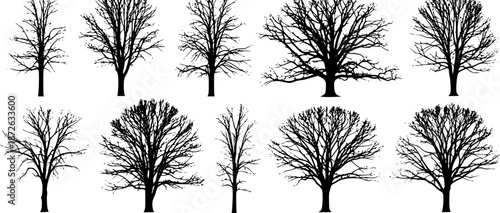 Set of trees in silhouettes. Also in vector format. Create many more shapes of trees from leaves and trees bottom row.