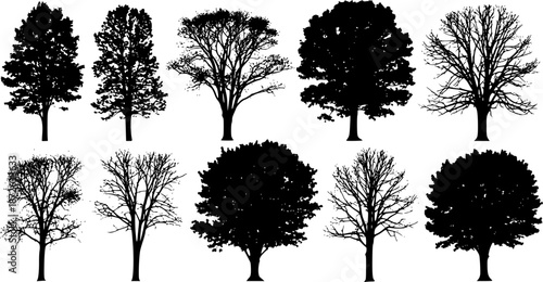 Set of trees in silhouettes. Also in vector format. Create many more shapes of trees from leaves and trees bottom row.