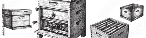Beehive box engraving illustration for honey brand packaging