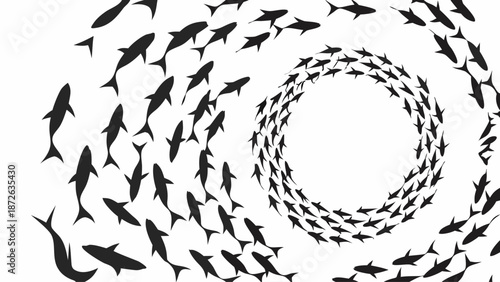 School of fish swimming in spiral formation