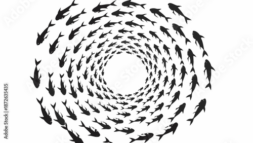 School of fish swimming in a spiral formation