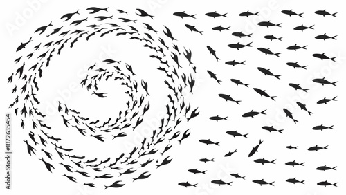 School of fish swimming in spiral formation dispersing