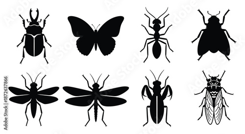 A collection of various insect silhouettes including beetles butterflies ants and other arthropods