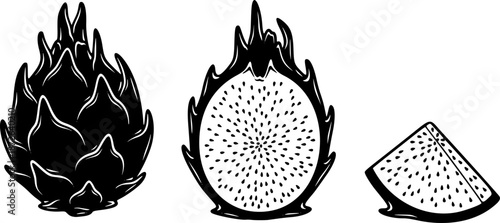 Dragon fruit vector  icon, black and white tropical food  Engraved summer dragonfruit
