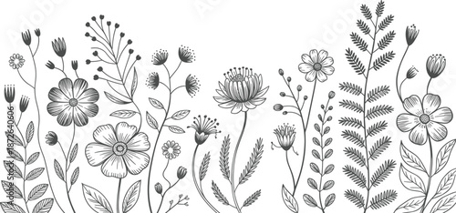 Black and white floral border illustration, hand drawn wildflowers, botanical line art meadow plants, elegant vintage nature design