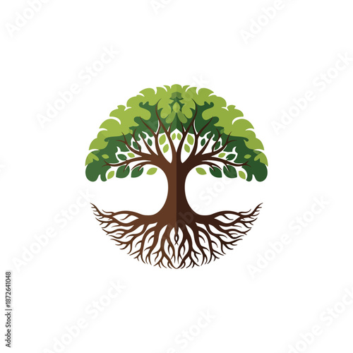 Illustration of a tree with visible roots and green leaves.