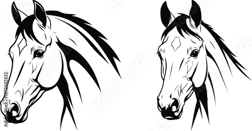 Horse head portraits in line art, black and white equestrian illustration, design