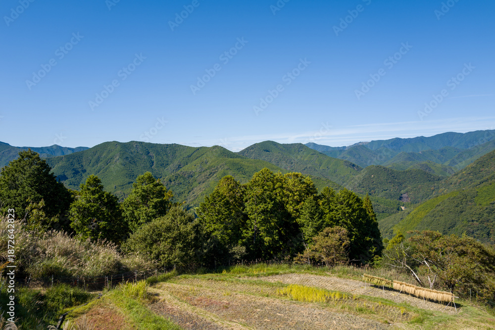 Fototapeta premium Expansive view of lush green mountains and terraced rice fields under a clear blue sky along the Kumano Kodo in Wakayama, Japan. Sunlight illuminates the dense forest and rural farmland, creating a
