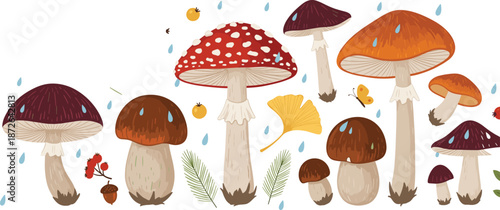 Hand drawn forest mushroom vector set with colorful toadstools, rain drops, leaves, and autumn woodland illustration elements
