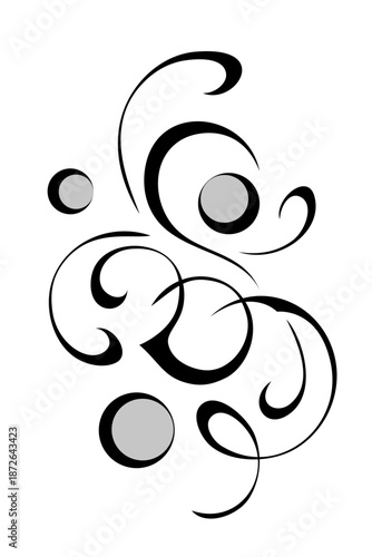 decorative abstract element with swirls and curls; graphic design