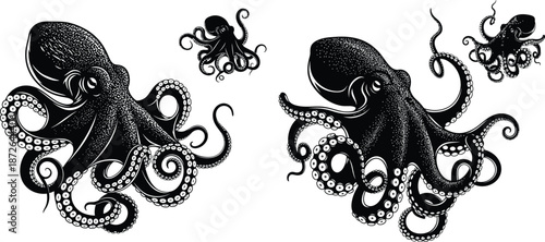 Ink drawing style octopus collection, tentacles with suckers, nautical theme for design