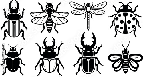 Vector black and white insect silhouettes including beetle dragonfly bee ladybug for design and nature projects