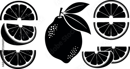 Lemon silhouette with slices and leaves in black and white vector design for fruit illustration