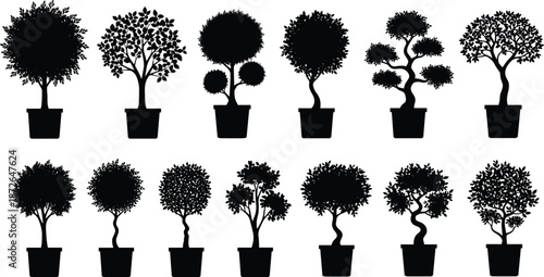 Tree silhouette collection, potted ornamental plants shapes, garden landscaping icons, indoor outdoor foliage, black vector illustration isolated set, design, elements