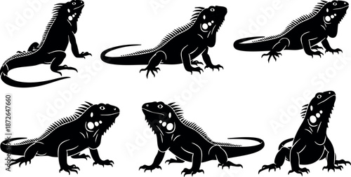 Iguana silhouettes in various poses black vector illustration of reptile lizard animal design for nature and wildlife themes