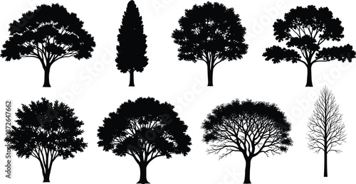 Tree silhouettes collection, variety of black woodland plants including oak, pine, cypress and dead tree, nature vector illustration set.
