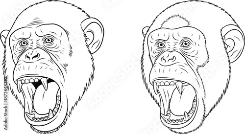 Line drawing of chimpanzee heads with open mouths, showing aggressive expressions suitable for sticker designs