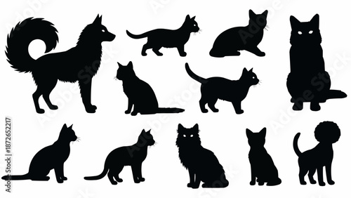 Collection of black cat silhouettes in various poses.