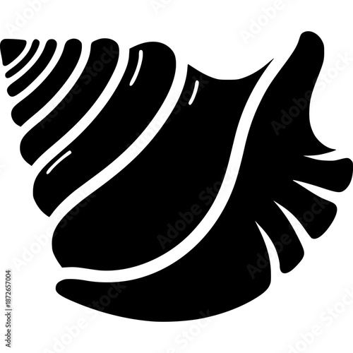 Conch Shell Vector