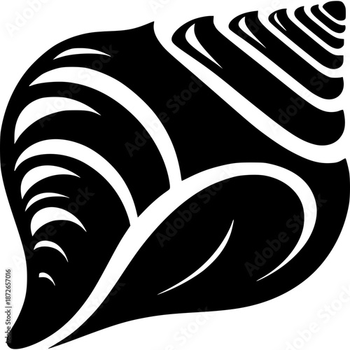 Conch Shell Vector