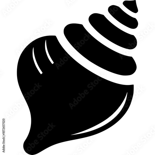 Conch Shell Vector